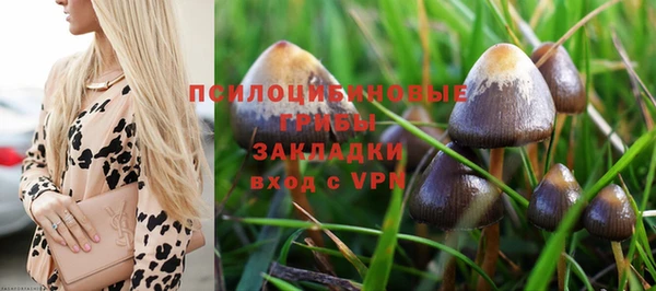 экстази Баксан