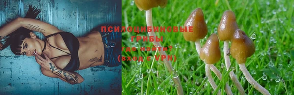 a pvp Балахна